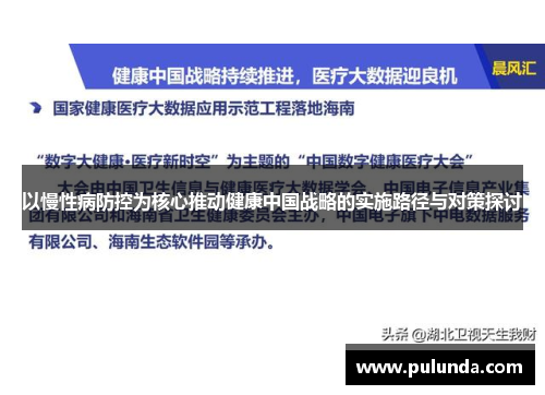 以慢性病防控为核心推动健康中国战略的实施路径与对策探讨