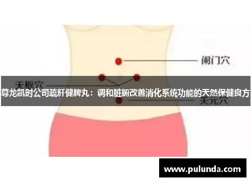 尊龙凯时公司疏肝健脾丸:调和脏腑改善消化系统功能的天然保健良方